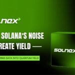 SOLNEX