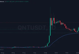 Quant Token Rallies 13% Amid Wider Market Slump