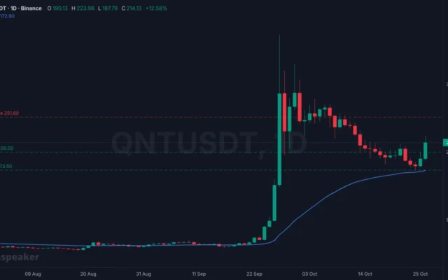 Quant Token Rallies 13% Amid Wider Market Slump